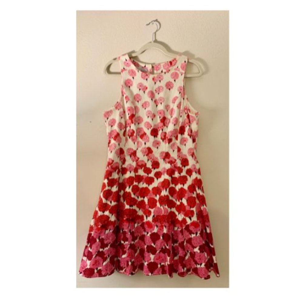 Pink and Red Floral Dress